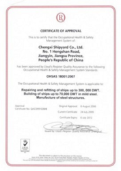 Iso 18001 2007