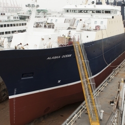 Dry dock