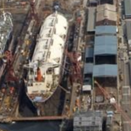 Dock short