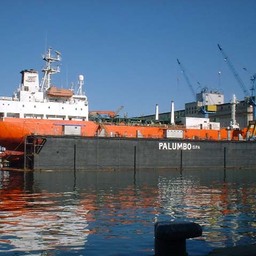Floating dock large