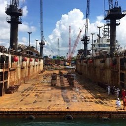 Floating dock small