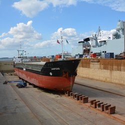 Fayard image 6