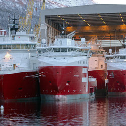Vard langsten image 3