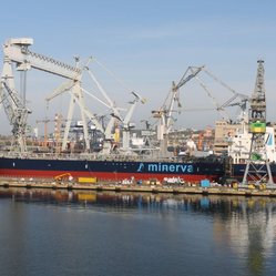 Nauta image 1