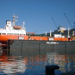 Floating dock large
